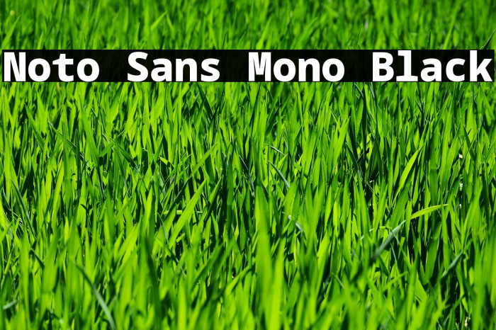 Noto Sans Mono Black Font examples