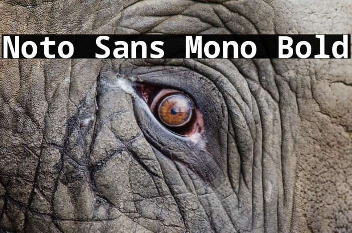 Noto Sans Mono Bold Font examples