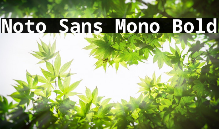 Noto Sans Mono Bold Font examples