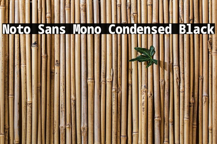 Noto Sans Mono Condensed Black Font examples