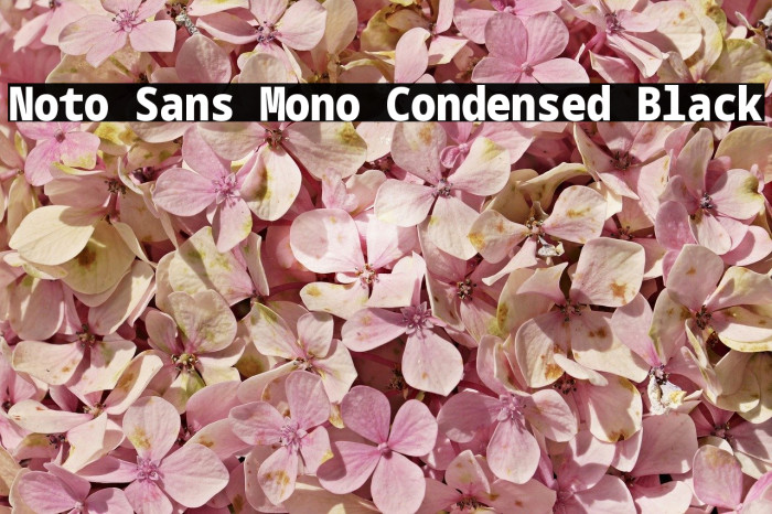 Noto Sans Mono Condensed Black Font examples