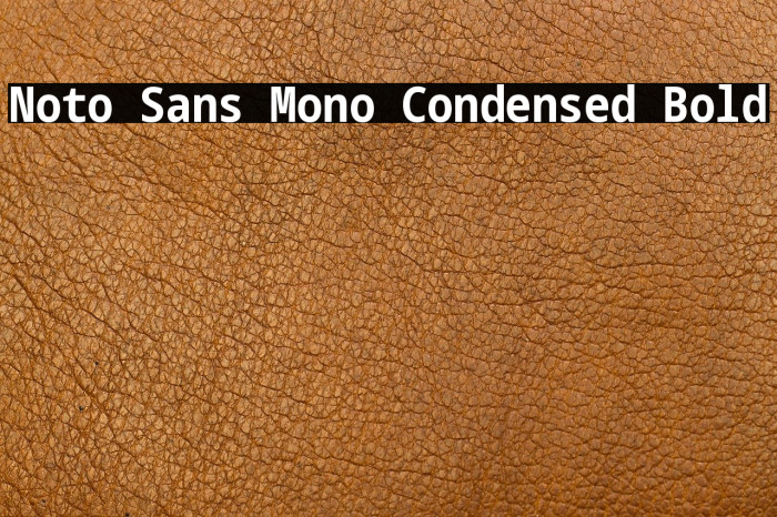Noto Sans Mono Condensed Bold Example 1