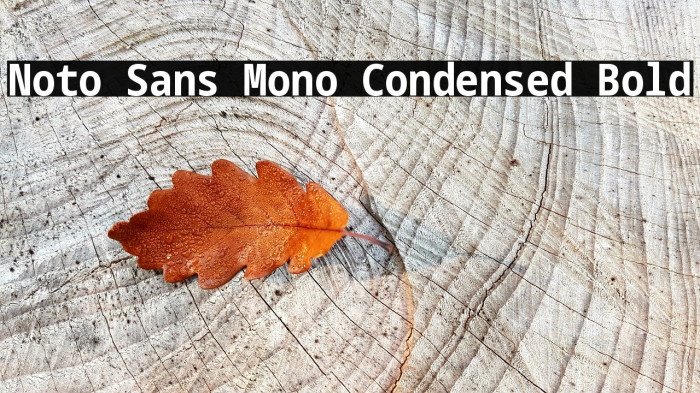 Noto Sans Mono Condensed Bold Example 2