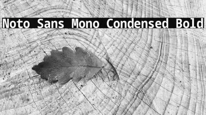 Noto Sans Mono Condensed Bold Font examples