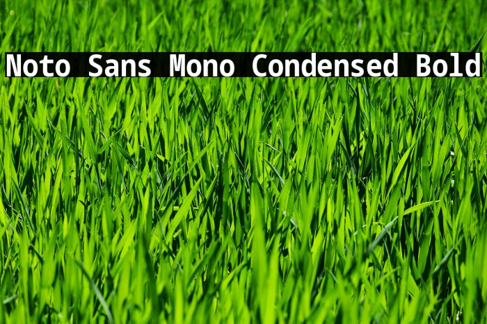 Noto Sans Mono Condensed Bold Example 3