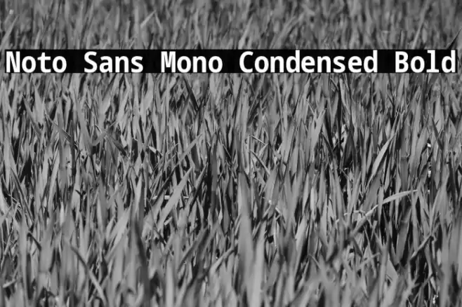 Noto Sans Mono Condensed Bold Font examples