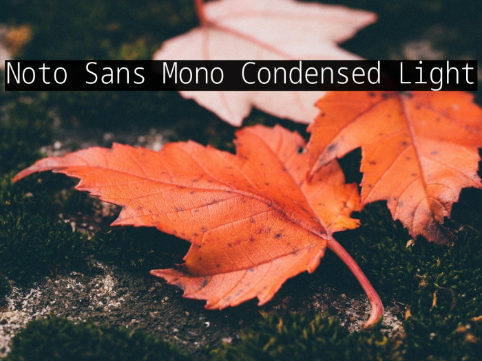 Noto Sans Mono Condensed Light Example 1