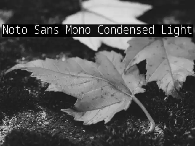Noto Sans Mono Condensed Light Font examples