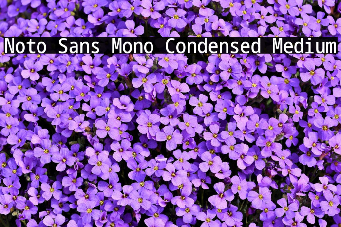 Noto Sans Mono Condensed Medium Font examples