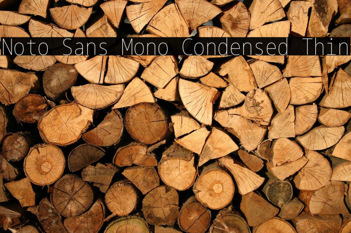 Noto Sans Mono Condensed Thin Example 2