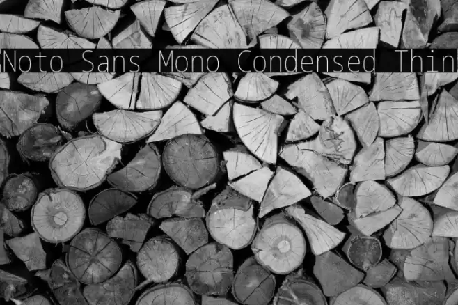 Noto Sans Mono Condensed Thin Font examples