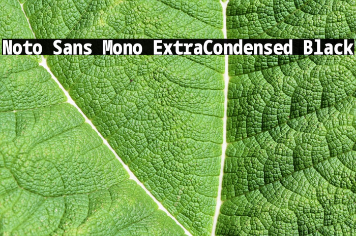 Noto Sans Mono ExtraCondensed Black Example 2