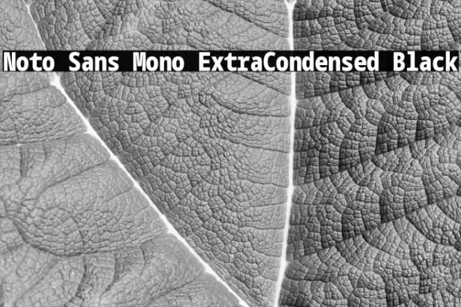 Noto Sans Mono ExtraCondensed Black Font examples