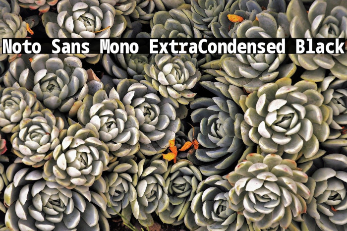 Noto Sans Mono ExtraCondensed Black Example 3