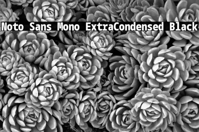 Noto Sans Mono ExtraCondensed Black Font examples