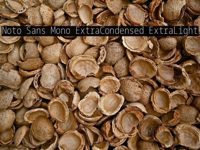 Noto Sans Mono ExtraCondensed ExtraLight Example 1
