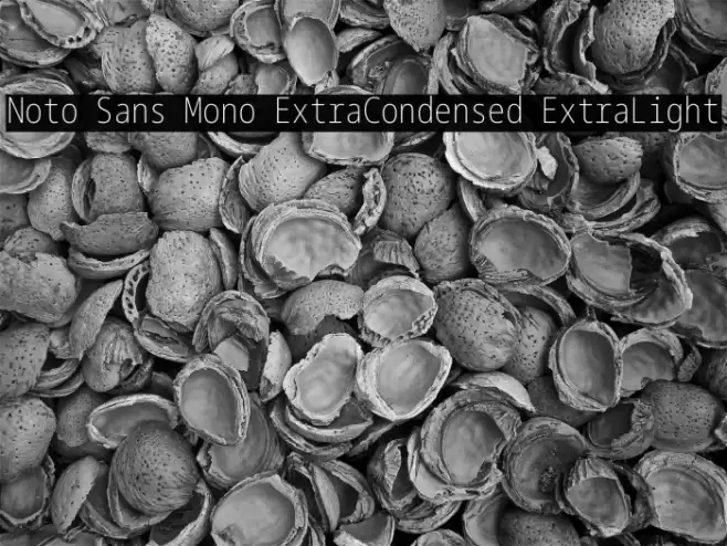 Noto Sans Mono ExtraCondensed ExtraLight Font examples