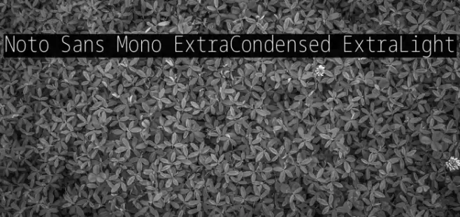Noto Sans Mono ExtraCondensed ExtraLight Font examples