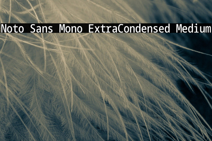 Noto Sans Mono ExtraCondensed Medium Font examples