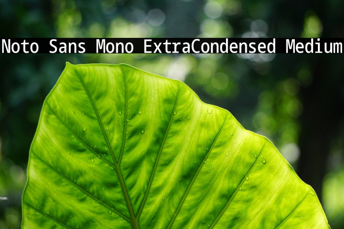 Noto Sans Mono ExtraCondensed Medium Font examples