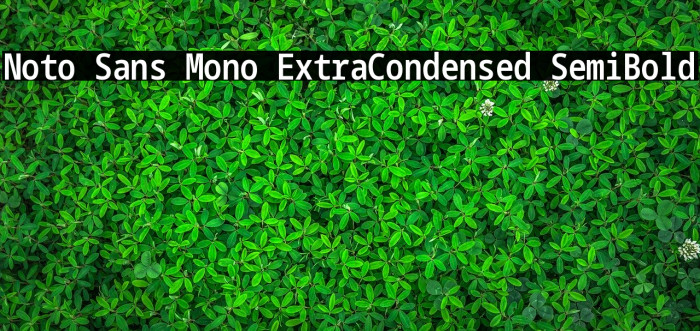 Noto Sans Mono ExtraCondensed SemiBold Font examples