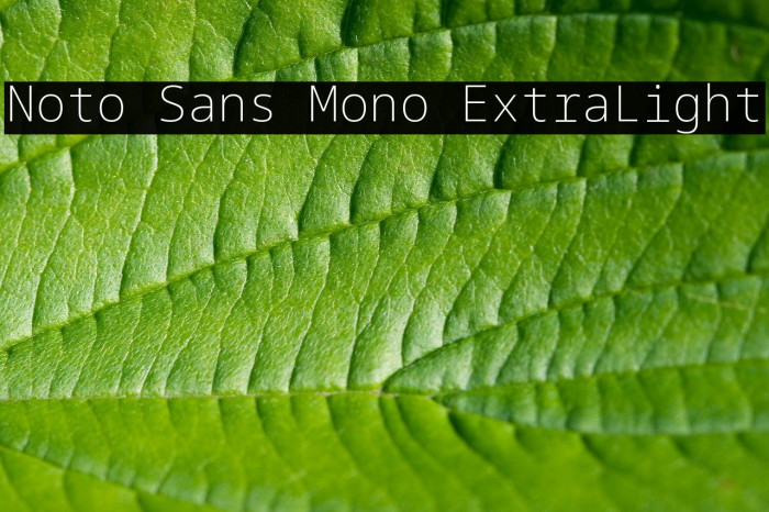 Noto Sans Mono ExtraLight Font examples