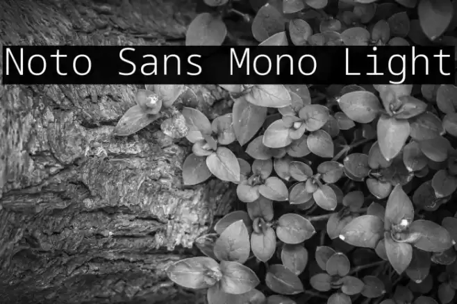 Noto Sans Mono Light Font examples