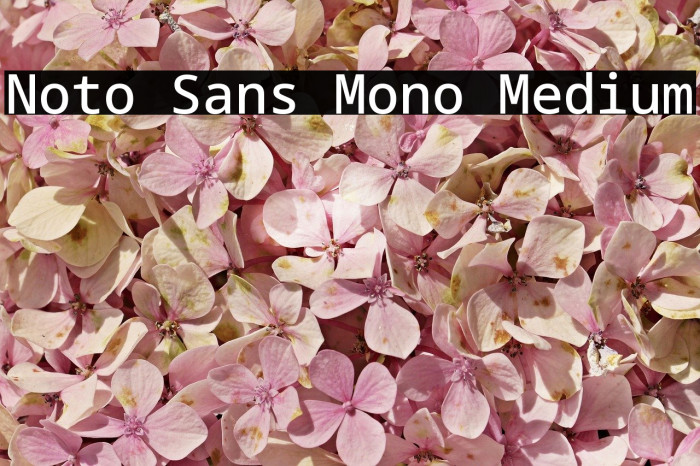 Noto Sans Mono Medium Font examples