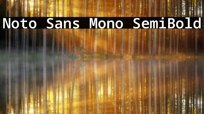 Noto Sans Mono SemiBold Font examples