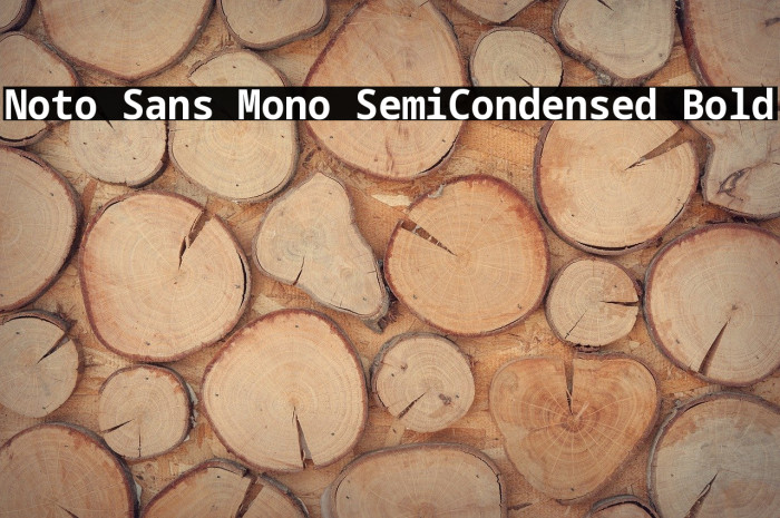 Noto Sans Mono SemiCondensed Bold Font examples