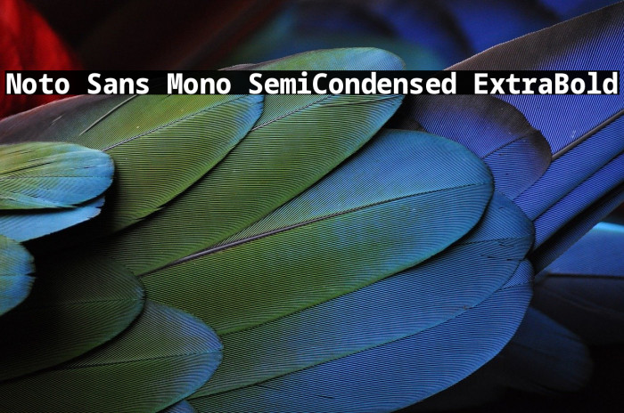 Noto Sans Mono SemiCondensed ExtraBold Font examples