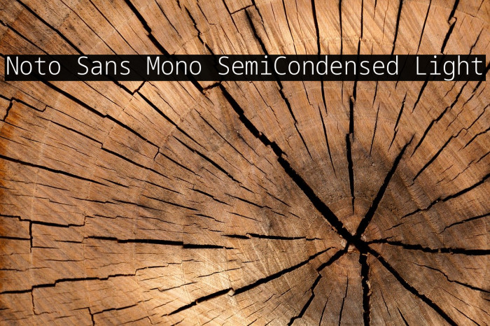Noto Sans Mono SemiCondensed Light Font examples