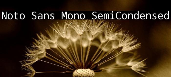 Noto Sans Mono SemiCondensed Font examples