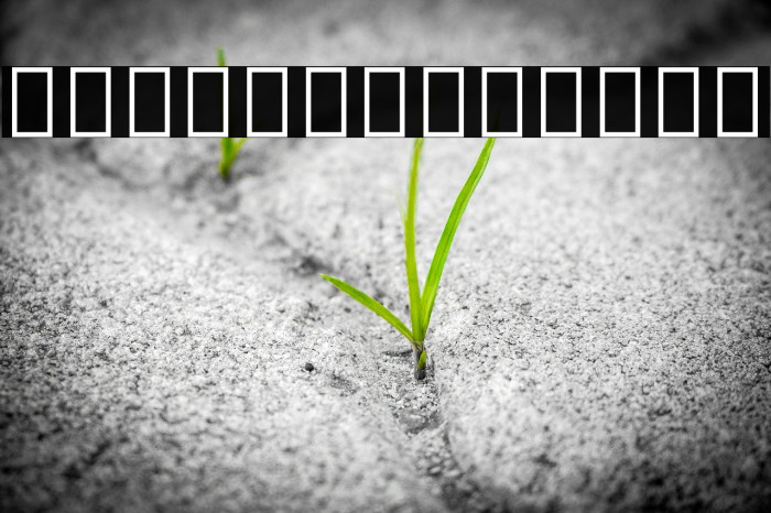 Noto Sans Myanmar ExtraCondensed ExtraBold Example 1