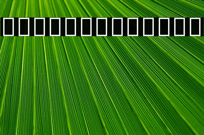 Noto Sans Myanmar SemiCondensed Medium Font examples