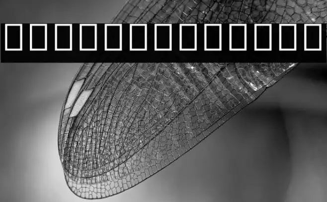 Noto Sans Myanmar UI Condensed Light Example 1