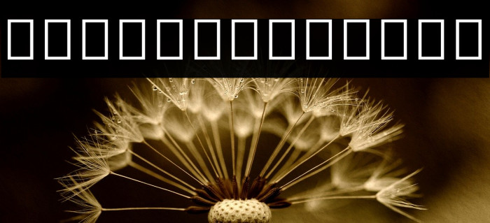 Noto Sans Myanmar UI ExtraCondensed Bold Example 3