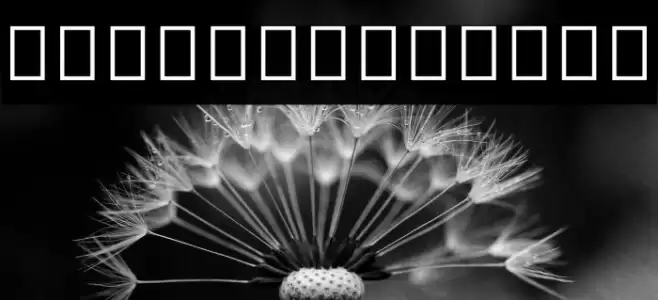 Noto Sans Myanmar UI ExtraCondensed Bold Font examples