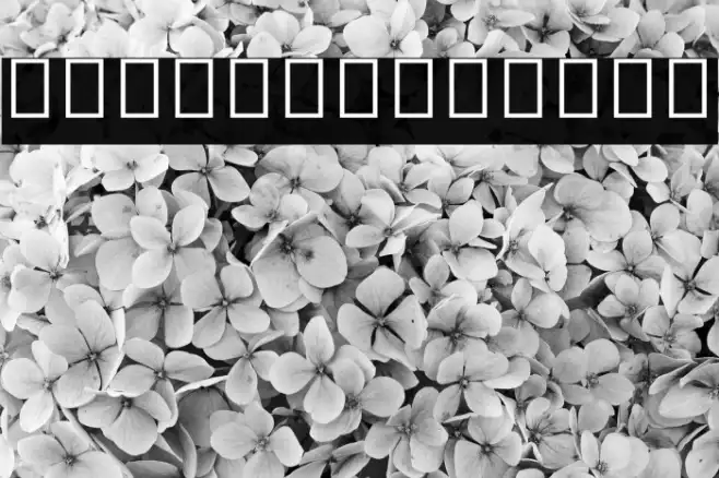 Noto Sans Myanmar UI ExtraCondensed Thin Example 1