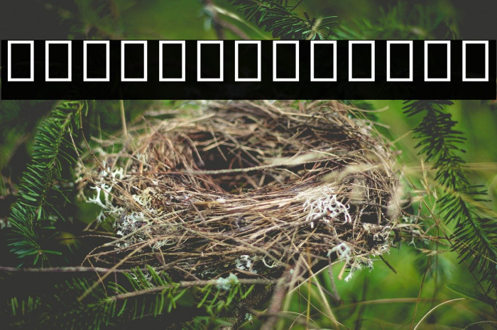 Noto Sans Myanmar UI ExtraCondensed Example 2