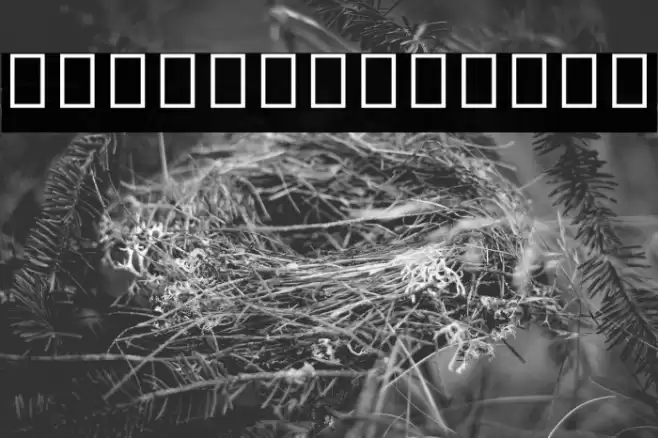 Noto Sans Myanmar UI ExtraCondensed Font examples