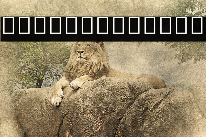 Noto Sans Myanmar UI SemiBold Font examples