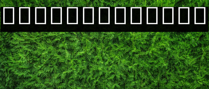 Noto Sans Myanmar UI SemiCondensed ExtraLight Font examples