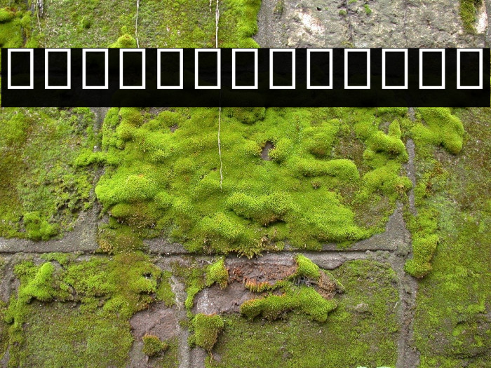 Noto Sans Myanmar UI SemiCondensed Light Example 2