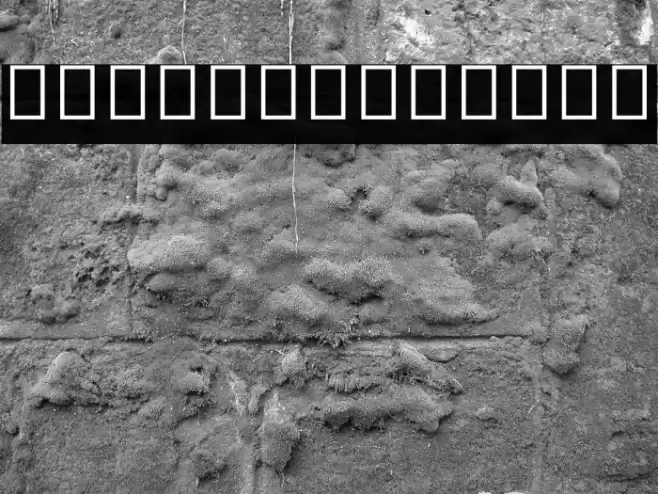 Noto Sans Myanmar UI SemiCondensed Light Font examples