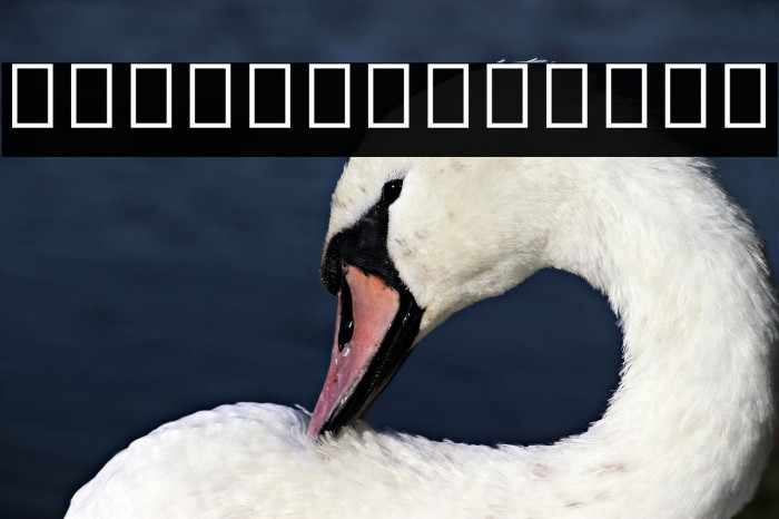 Noto Sans Myanmar UI SemiCondensed SemiBold Example 2