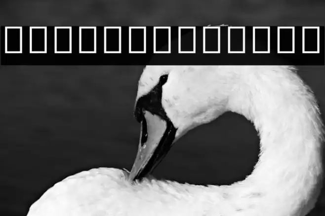 Noto Sans Myanmar UI SemiCondensed SemiBold Font examples