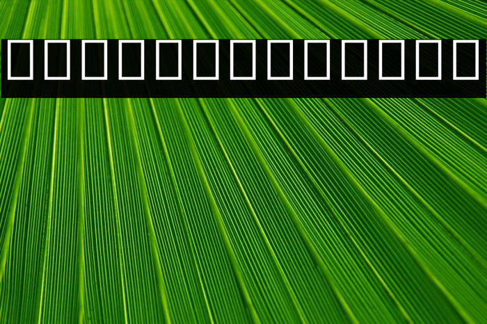 Noto Sans Myanmar UI SemiCondensed Font examples