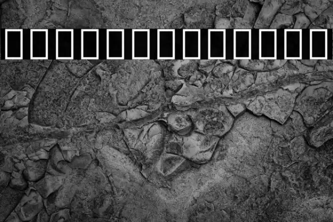 Noto Sans Phags Pa Font examples