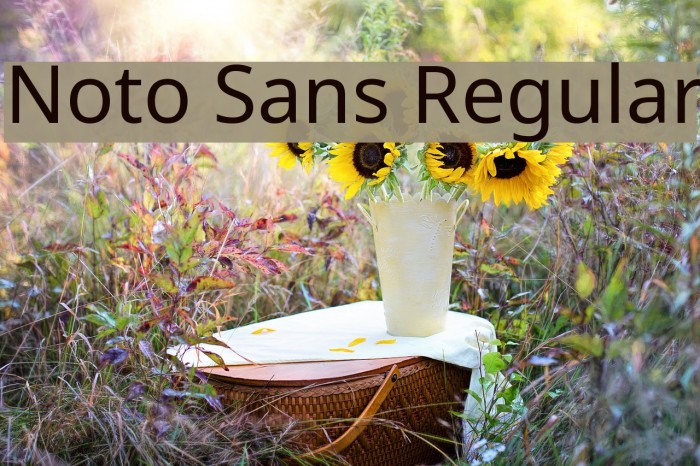 Noto Sans Regular Font examples